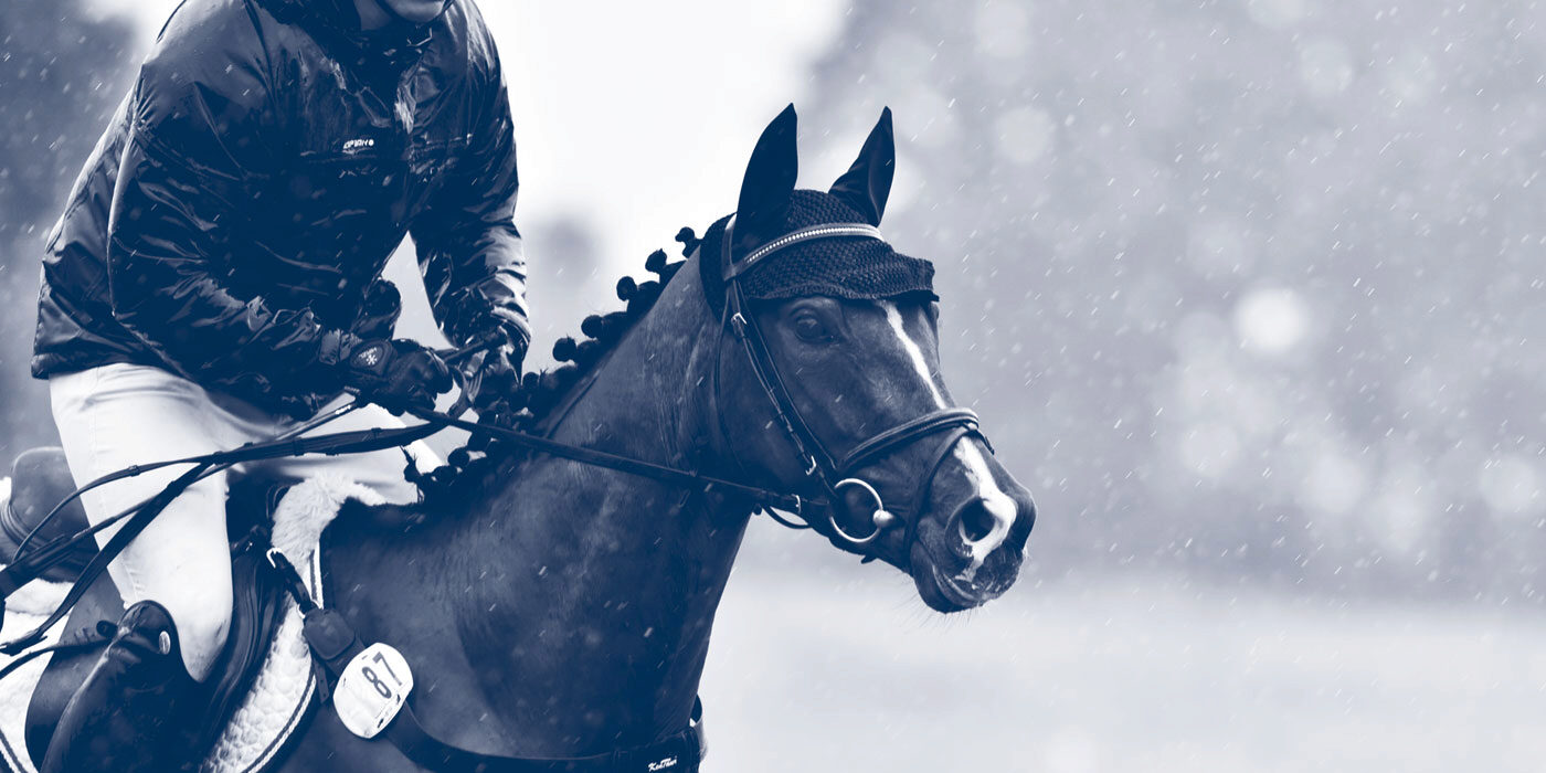 Teaserbild Pferdepraxis Oberalster